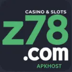 Z78 Game